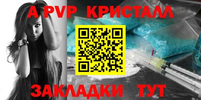 стафф Бердск