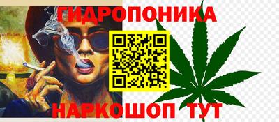 тгк Аша