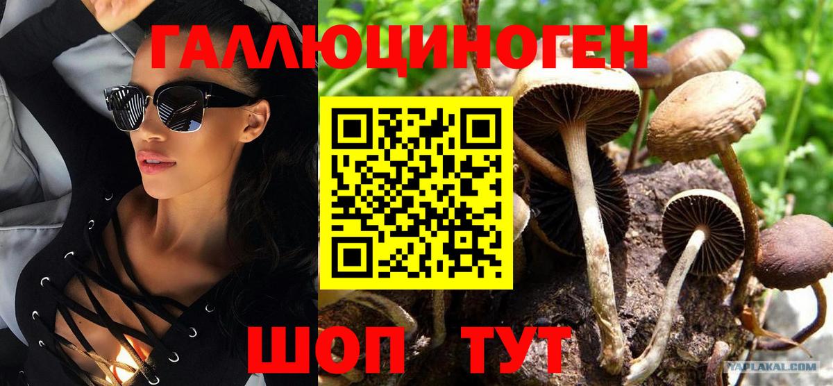 Псилоцибиновые грибы Magic Shrooms  цены наркотик  Великие Луки  Вход с VPN 